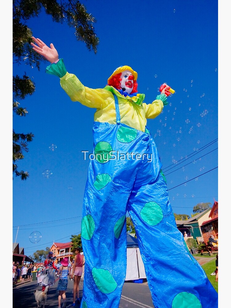 Tilba Festival 2012 by TonySlattery