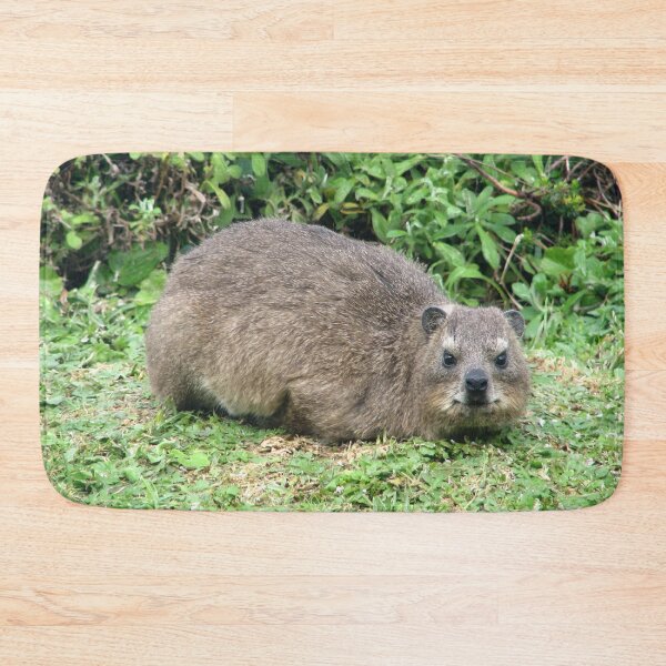 Item preview, Cute Dassie Rock Hyrax Table Mountain, South Africa designed and sold by worldways.