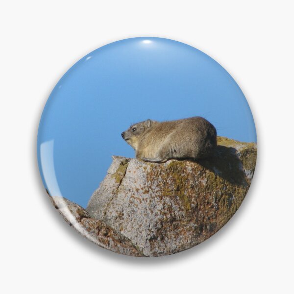 Item preview, Cute Dassie Sitting on Rock, Table Mountain, South Africa designed and sold by worldways.