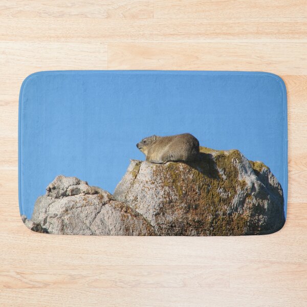 Item preview, Cute Dassie Sitting on Rock, Table Mountain, South Africa designed and sold by worldways.