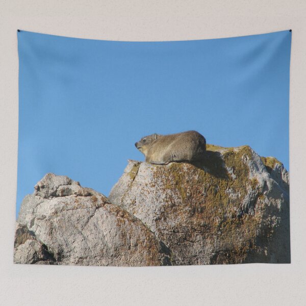 Item preview, Cute Dassie Sitting on Rock, Table Mountain, South Africa designed and sold by worldways.