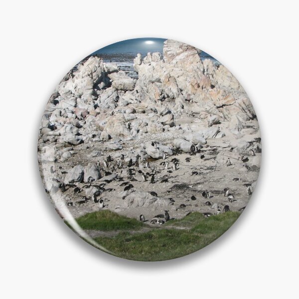 Item preview, African Penguin Colony Boulders Beach, Cape Town, South Africa designed and sold by worldways.
