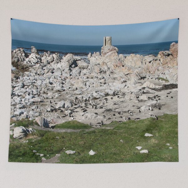 Item preview, African Penguin Colony Boulders Beach, Cape Town, South Africa designed and sold by worldways.