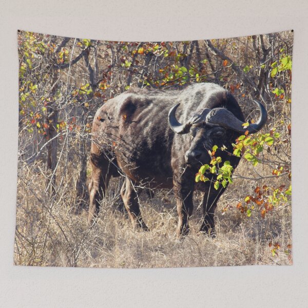 Item preview, African Buffalo Kruger national park, South Africa designed and sold by worldways.