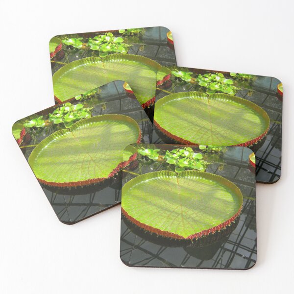 Item preview, Lily Pad Pond designed and sold by Andrew Morrell.