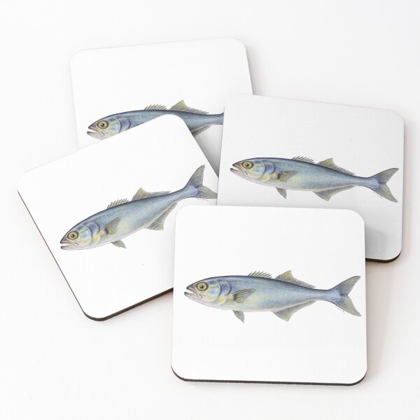 Item preview, Bluefish (Pomatomus saltatrix) designed and sold by Tamara Clark.