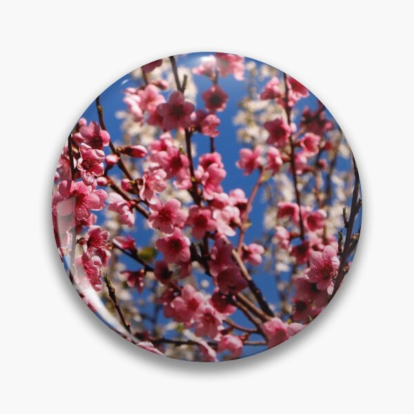 Artikelvorschau, Frühlingsblüte entworfen und verkauft von jwwallace.