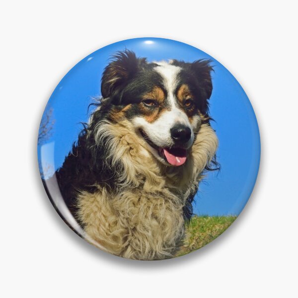 Item preview, It's a Dogs Life. designed and sold by Michael Haslam.