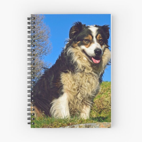 Item preview, It's a Dogs Life. designed and sold by Michael Haslam.