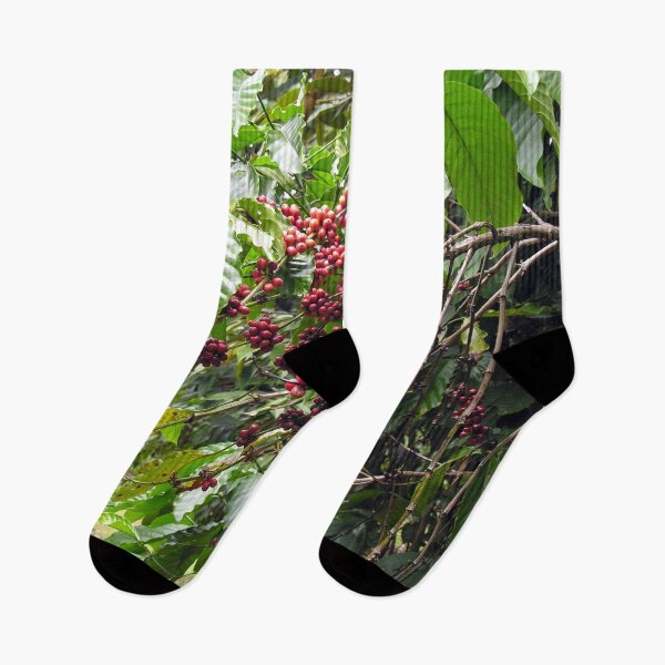 Item preview, Coffee Shrub Plant Branches with Coffee berries beans designed and sold by worldways.
