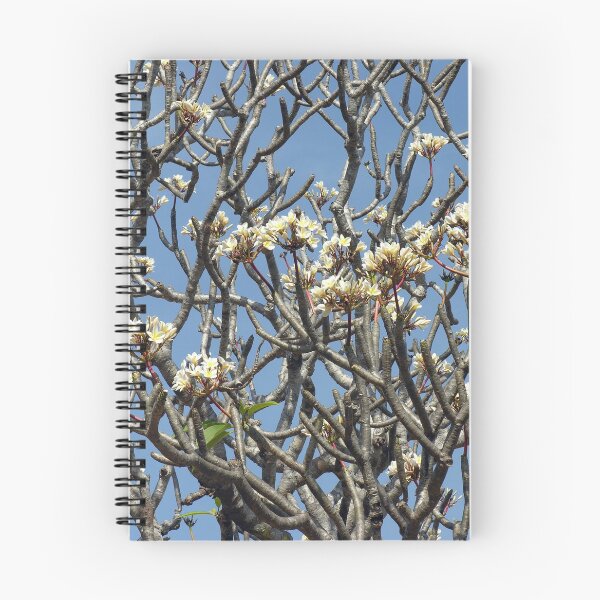 Item preview, Flowering Blooming Tree Branches designed and sold by worldways.