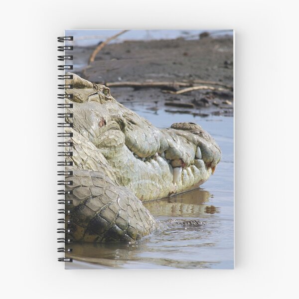 Item preview, African Nile Crocodile Face, Wildlife, Ethiopia, Africa designed and sold by worldways.