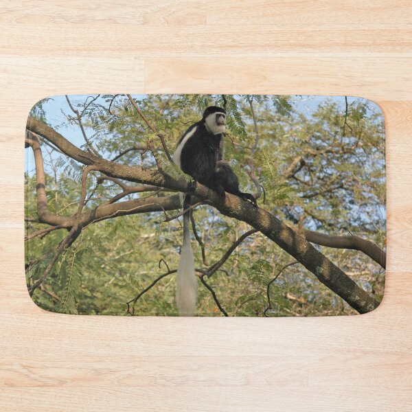 Item preview, Colobus Monkey Siting on Acacia Tree, Etiopia, Africa designed and sold by worldways.