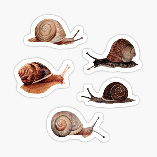 6 PCS 3D FELT STICKERS - SNAIL