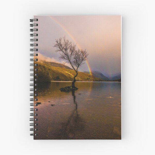 Item preview, Rainbow over the famous tree at Padarn Lake near Snowdon designed and sold by DafyddEm.