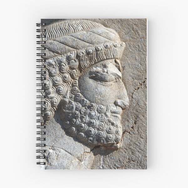 Artikelvorschau, Detail des alten persischen Kriegers Persepolis Persien Iran entworfen und verkauft von worldways.