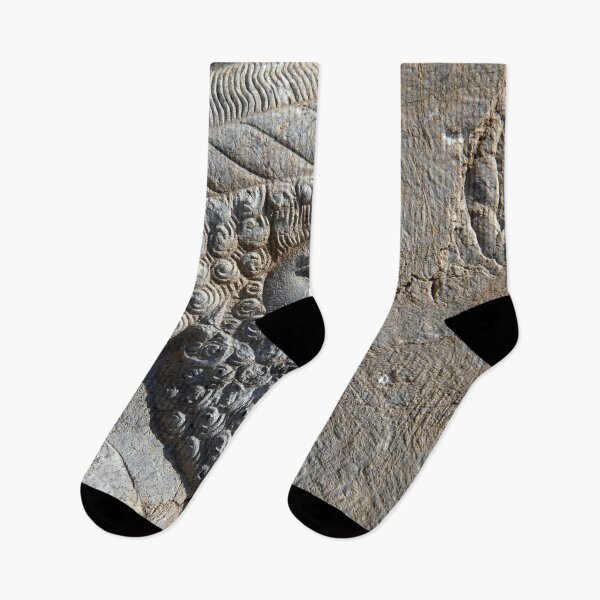 Artikelvorschau, Detail des alten persischen Kriegers Persepolis Persien Iran entworfen und verkauft von worldways.