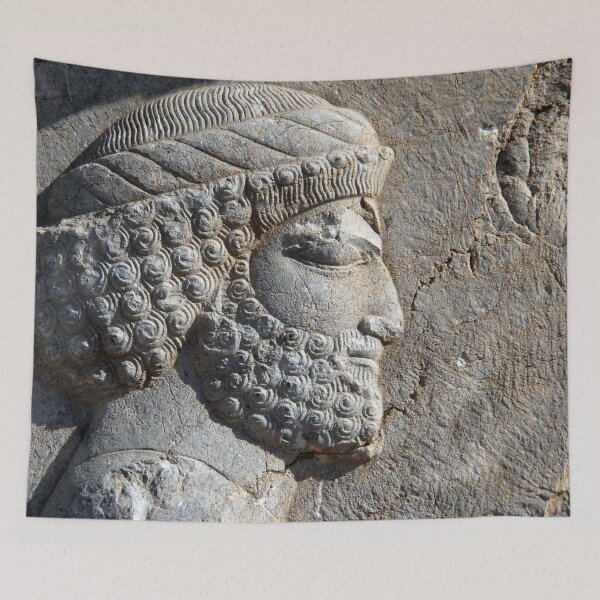 Artikelvorschau, Detail des alten persischen Kriegers Persepolis Persien Iran entworfen und verkauft von worldways.
