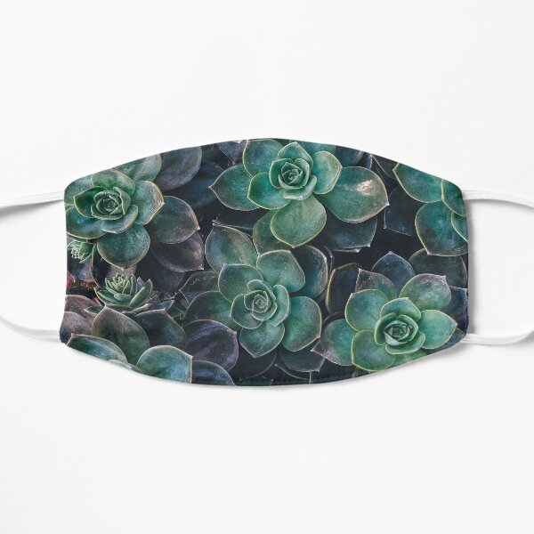 Succulent Mask