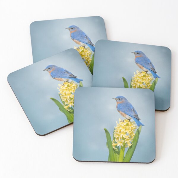 Item preview, Eastern Bluebird on Hyacinth designed and sold by (Tallow) Dave  Van de Laar.