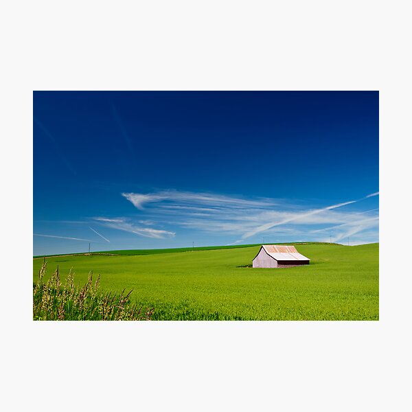 Item preview, Pastoral designed and sold by Dan Mihai.