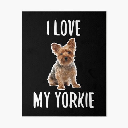 yorkie items
