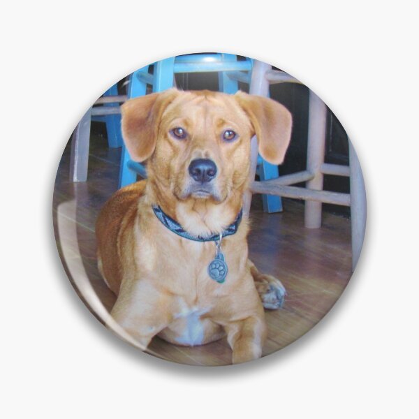 Item preview, Dog In A Bar designed and sold by Cynthia48.