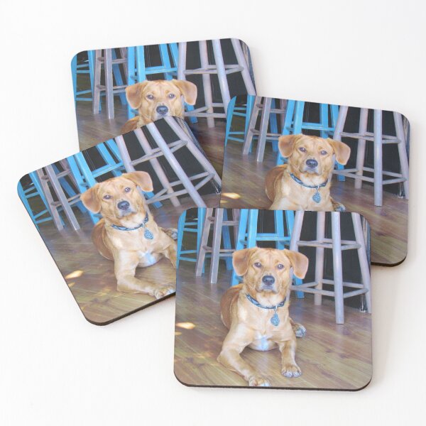 Item preview, Dog In A Bar designed and sold by Cynthia48.
