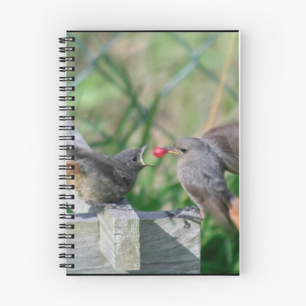 Item preview, Lunch designed and sold by Calidris Fotografie Steffi & Ben Köppler.