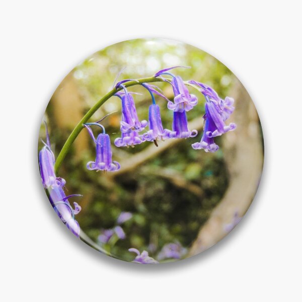 Item preview, Beautiful Bluebells designed and sold by ChloePorter17.
