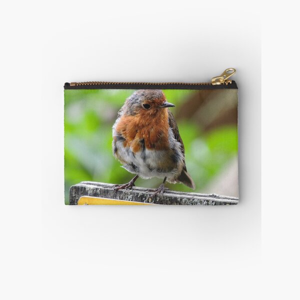 Item preview, Robin en un cartel designed and sold by ChloePorter17.