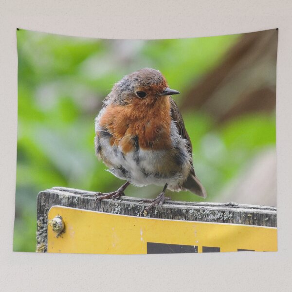 Item preview, Robin en un cartel designed and sold by ChloePorter17.