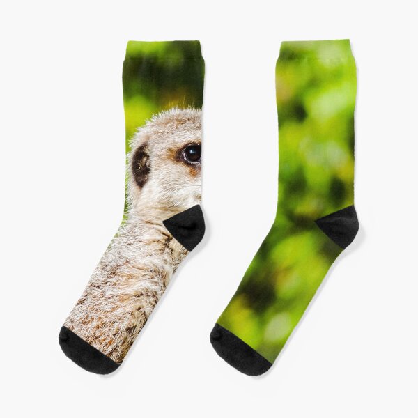 Meerkat Socks Redbubble