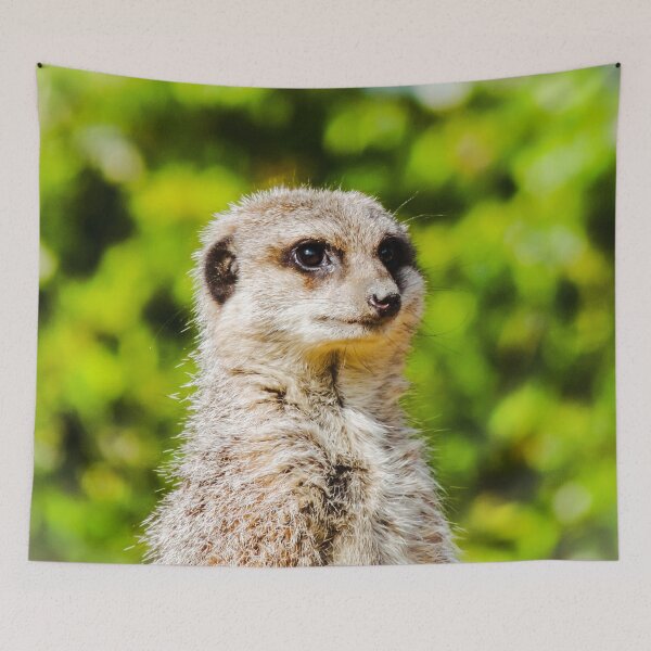 Item preview, Meerkat designed and sold by ChloePorter17.