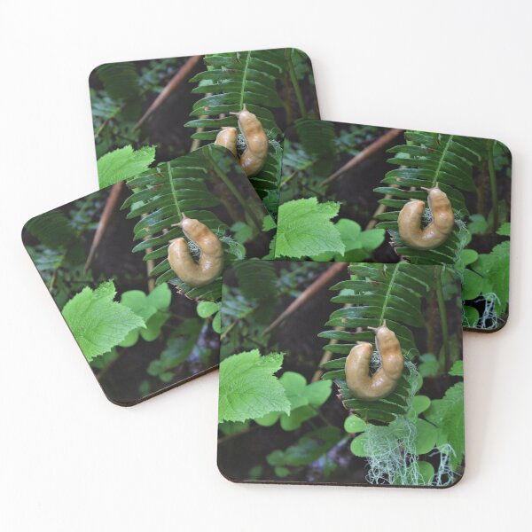 Item preview, Curled Slug on a Leaf designed and sold by DaydreamnD.