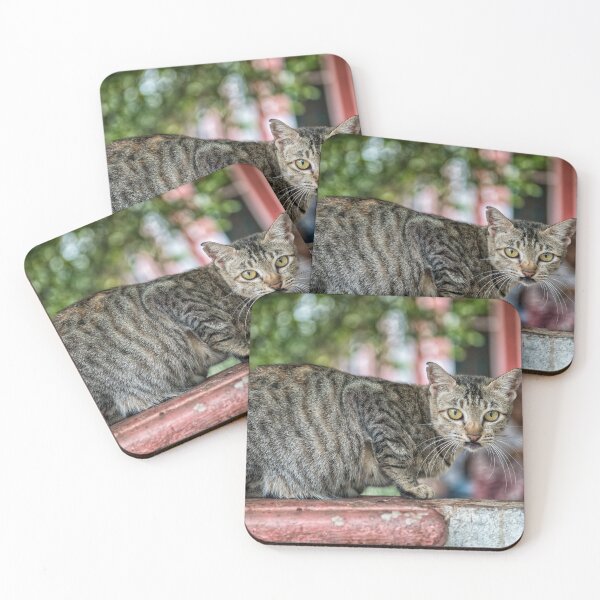 Item preview, Wide Eyed Siamese Cat on Wall designed and sold by JohnKarmouche.