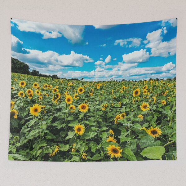 Item preview, Sunflower Field designed and sold by ChloePorter17.