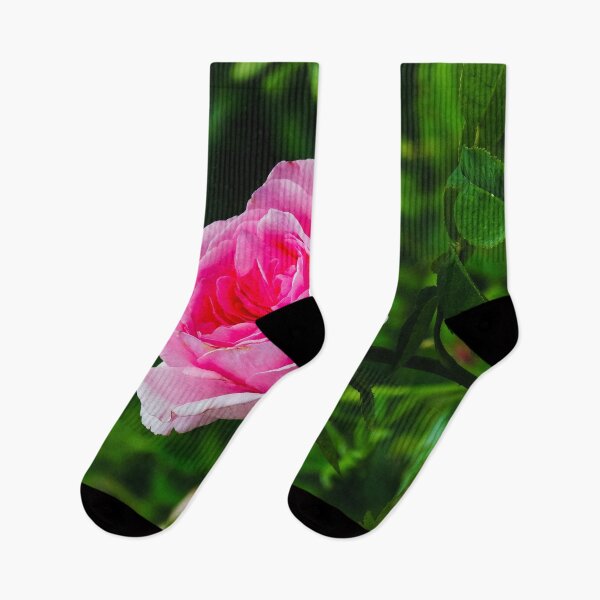 Item preview, Pink Rose designed and sold by ChloePorter17.