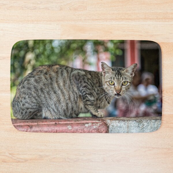 Item preview, Wide Eyed Siamese Cat on Wall designed and sold by JohnKarmouche.