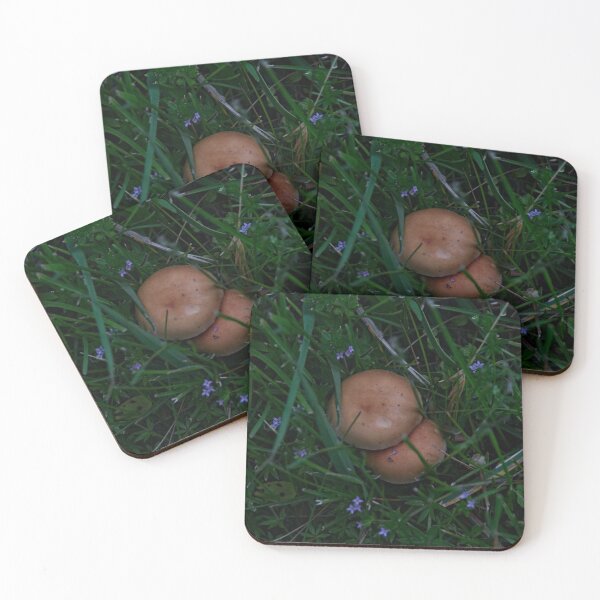 Item preview, Spring Renewal designed and sold by Kitkatfoxx.