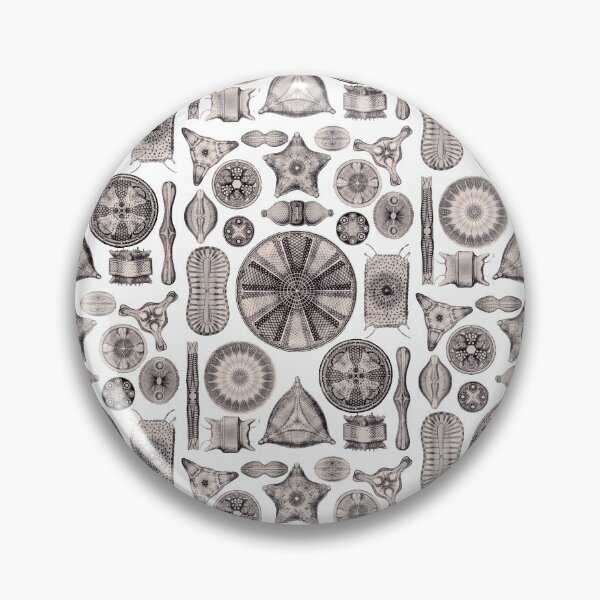 Artikelvorschau, Ernst Haeckel Diatoms Lavender Grey entworfen und verkauft von aimeewilson.