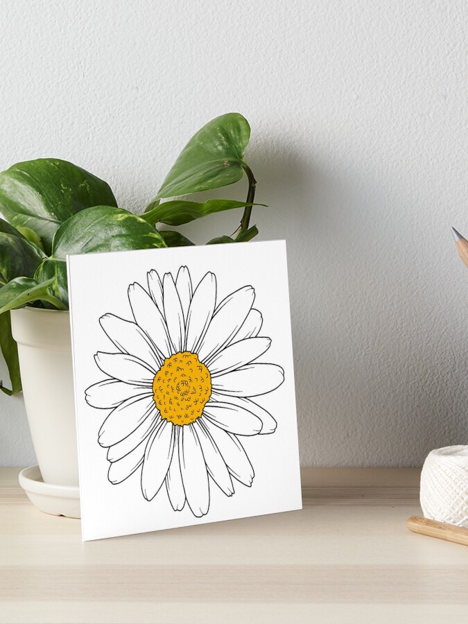 Daisy Flower Sticker for Sale by Jamie Maher