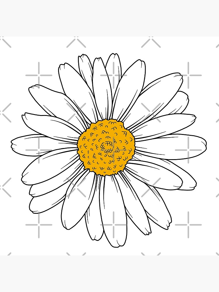 Daisy Flower Sticker for Sale by Jamie Maher