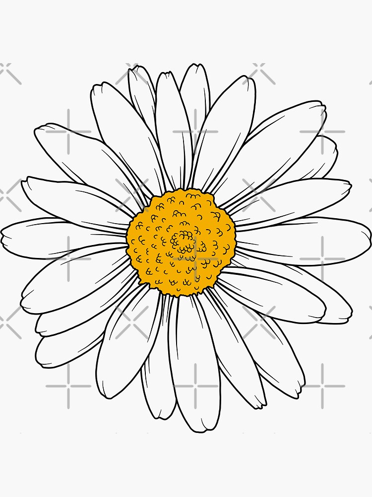 Buy Daisy Flower Drawing, Cheap Originals, Pen and Ink, Black and White  Online in India - Etsy