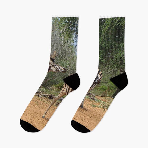 Item preview, Three African zebras designed and sold by FranWest.