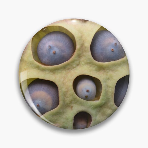 Item preview, Interior designed and sold by Nicole Sumner.