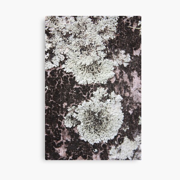 Item preview, Lichen designed and sold by Jennie Gardiner.