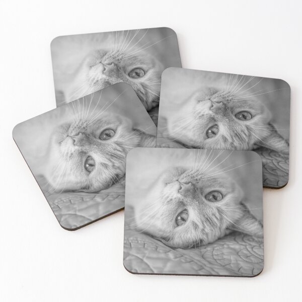 Item preview, Siamese Cat Look BW designed and sold by Elisabeth Lucas.
