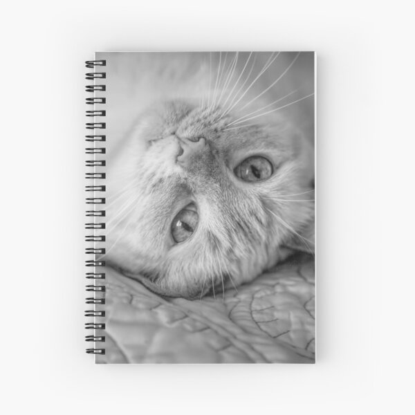 Item preview, Siamese Cat Look BW designed and sold by Elisabeth Lucas.