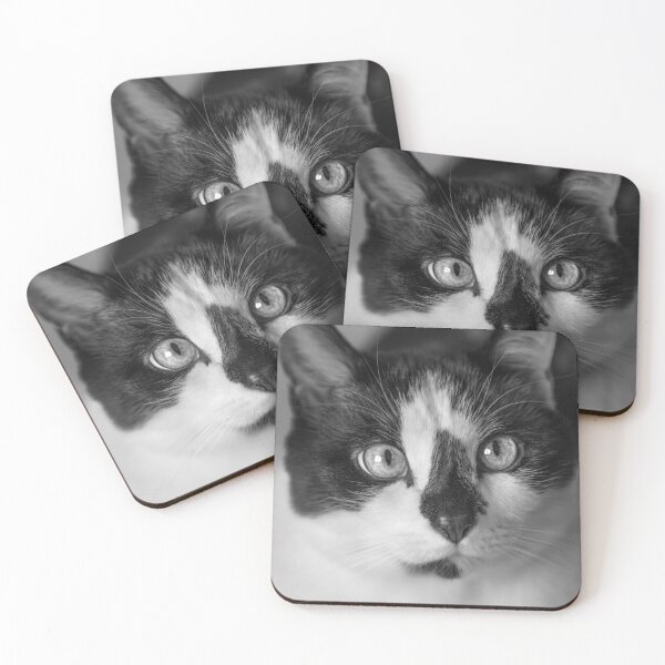 Item preview, Cherished Snowshoe Cat BW designed and sold by Elisabeth Lucas.